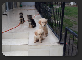 HATAY HATKEM K�ĞEK EĞİTİM KONAKLAMA �RETİM MERKEZİ