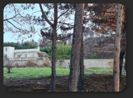 HATKEM HATAY K�PEK EĞİTİM KONAKLAMA �RETİM MERKEZİ