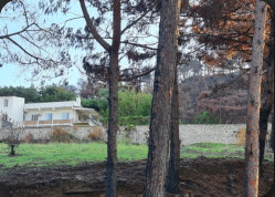 HATKEM HATAY K�PEK EĞİTİM KONAKLAMA �RETİM MERKEZİ